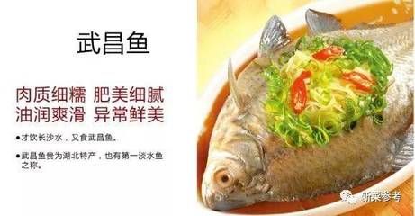 鄂州龍魚vs祥龍魚場（鄂州龍魚養(yǎng)殖場所生產的龍魚可能指的是祥龍金頭過背金龍） 全國水族館企業(yè)名錄 第3張