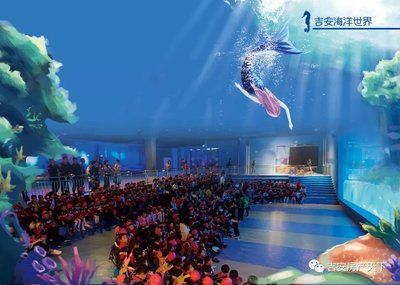 吉安水族館vs祥龍魚(yú)場(chǎng)（吉安水族館與祥龍魚(yú)場(chǎng)之間的差異之前，我們需要明確基本信息和特點(diǎn)） 全國(guó)水族館企業(yè)名錄 第3張