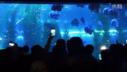 阜新水族館vs祥龍魚場（阜新市沒有自己的海洋館，需要前往其他城市如撫順、營口或大連等地） 全國水族館企業(yè)名錄 第2張