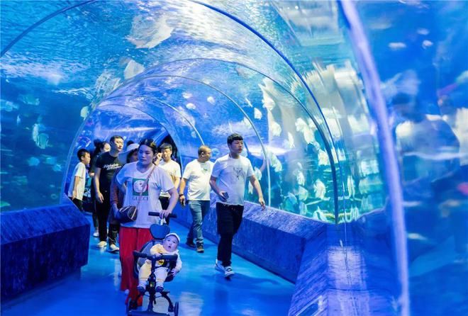 銅仁水族館vs祥龍魚場(chǎng)（貴州銅仁水族館和祥龍魚場(chǎng)在性質(zhì)和目標(biāo)上有所不同） 全國(guó)水族館企業(yè)名錄 第5張