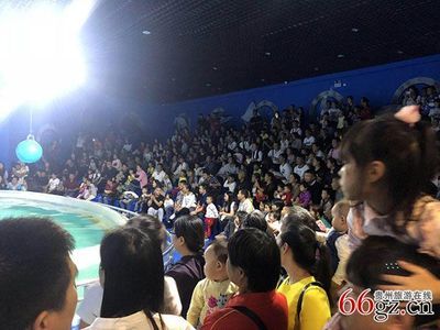 銅仁水族館vs祥龍魚場(chǎng)（貴州銅仁水族館和祥龍魚場(chǎng)在性質(zhì)和目標(biāo)上有所不同） 全國(guó)水族館企業(yè)名錄 第2張