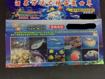 酒泉水族館vs祥龍魚場（祥龍魚場與酒泉魚族館的區(qū)別） 全國水族館企業(yè)名錄 第1張