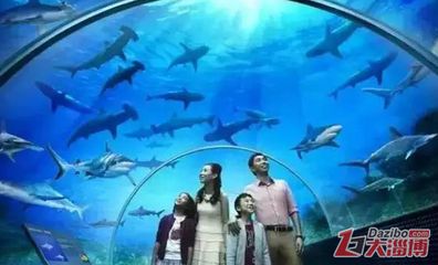 淄博水族館vs祥龍魚場（探討淄博水族館與祥龍魚場之間的差異時，我們需要明確兩者的業(yè)務(wù)和特點） 全國水族館企業(yè)名錄 第1張