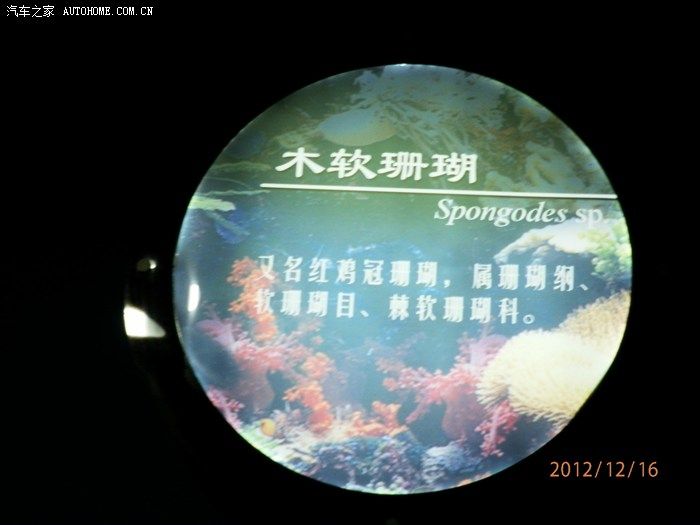 淄博水族館vs祥龍魚場（探討淄博水族館與祥龍魚場之間的差異時，我們需要明確兩者的業(yè)務(wù)和特點） 全國水族館企業(yè)名錄 第2張