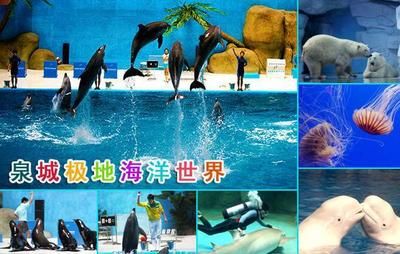 淄博水族館vs祥龍魚場（探討淄博水族館與祥龍魚場之間的差異時，我們需要明確兩者的業(yè)務(wù)和特點） 全國水族館企業(yè)名錄 第5張