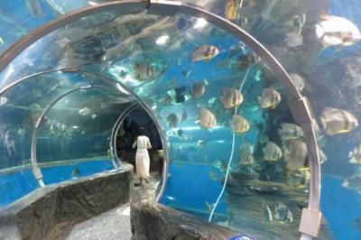 北海水族館vs祥龍魚場（中國廣西壯族自治區(qū)北海市北海市北海市北海市北海水族館） 全國水族館企業(yè)名錄 第1張