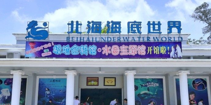 北海水族館vs祥龍魚場（中國廣西壯族自治區(qū)北海市北海市北海市北海市北海水族館） 全國水族館企業(yè)名錄 第2張