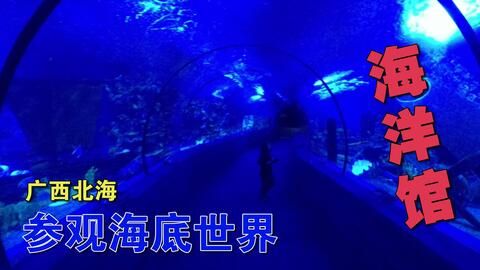 北海水族館vs祥龍魚場（中國廣西壯族自治區(qū)北海市北海市北海市北海市北海水族館） 全國水族館企業(yè)名錄 第4張