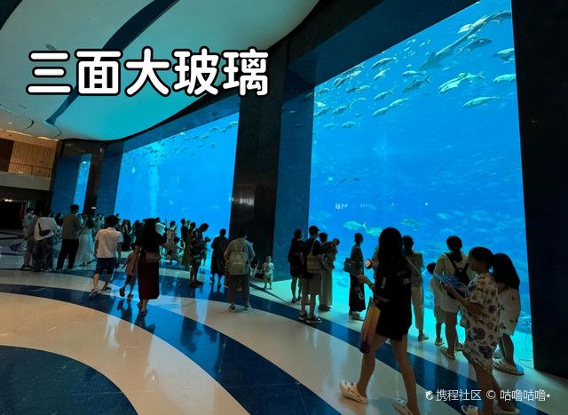 三亞水族館vs祥龍魚場（三亞水族館和祥龍魚場哪個好） 全國水族館企業(yè)名錄 第2張