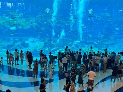 三亞水族館vs祥龍魚場（三亞水族館和祥龍魚場哪個好） 全國水族館企業(yè)名錄 第4張