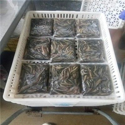 煙臺龍魚vs祥龍魚場（探討煙臺龍魚與祥龍魚場的區(qū)別） 全國水族館企業(yè)名錄 第5張