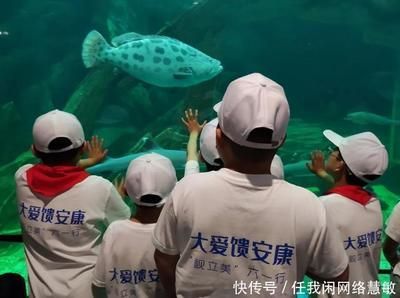 安康水族館vs祥龍魚場（安康水族館與祥龍魚場之間的差異之前，我們需要明確基本信息和特點(diǎn)） 全國水族館企業(yè)名錄 第1張