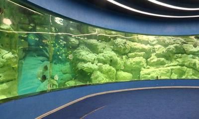 安康水族館vs祥龍魚場（安康水族館與祥龍魚場之間的差異之前，我們需要明確基本信息和特點(diǎn)） 全國水族館企業(yè)名錄 第3張