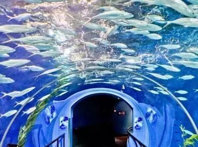 宜春水族館vs祥龍魚場（宜春水族館位于宜春廣匯國際家私城） 全國水族館企業(yè)名錄 第2張