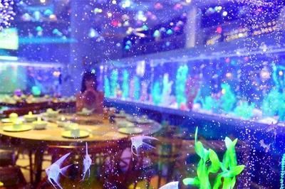 肇慶水族館vs祥龍魚場(chǎng)（探討肇慶水族館與祥龍魚場(chǎng)之前需要明確兩者之間的區(qū)別） 全國(guó)水族館企業(yè)名錄 第2張