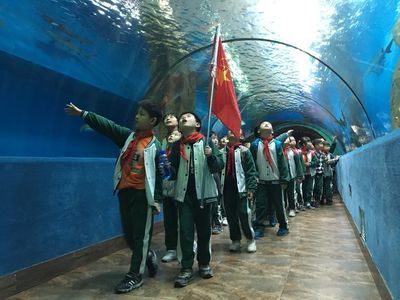 合肥水族館vs祥龍魚場（合肥水族館與祥龍魚場的區(qū)別） 全國水族館企業(yè)名錄 第2張