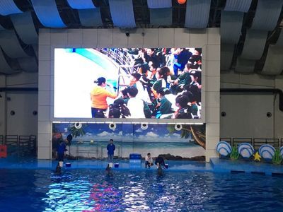 合肥水族館vs祥龍魚場(chǎng)（合肥水族館與祥龍魚場(chǎng)的區(qū)別） 全國(guó)水族館企業(yè)名錄 第5張