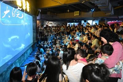 合肥水族館vs祥龍魚場(chǎng)（合肥水族館與祥龍魚場(chǎng)的區(qū)別） 全國(guó)水族館企業(yè)名錄 第3張