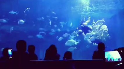 烏魯木齊水族館vs祥龍魚場(chǎng)（烏魯木齊水族館與祥龍魚場(chǎng)各有側(cè)重） 全國(guó)水族館企業(yè)名錄 第2張