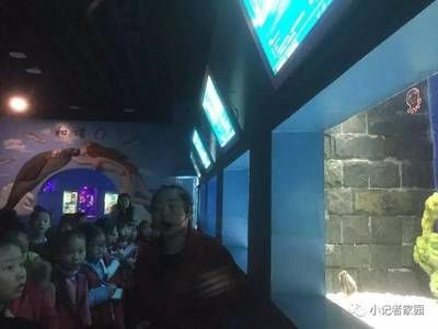 烏魯木齊水族館vs祥龍魚場(chǎng)（烏魯木齊水族館與祥龍魚場(chǎng)各有側(cè)重） 全國(guó)水族館企業(yè)名錄 第4張