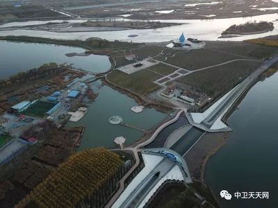 中衛(wèi)水族館vs祥龍魚場（中衛(wèi)水族館與祥龍魚場有什么區(qū)別？） 全國水族館企業(yè)名錄 第2張