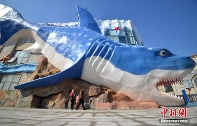 邯鄲水族館vs祥龍魚場（邯鄲市叢臺區(qū)七彩水族館和祥龍魚場的經(jīng)營產(chǎn)品對比） 全國水族館企業(yè)名錄 第1張