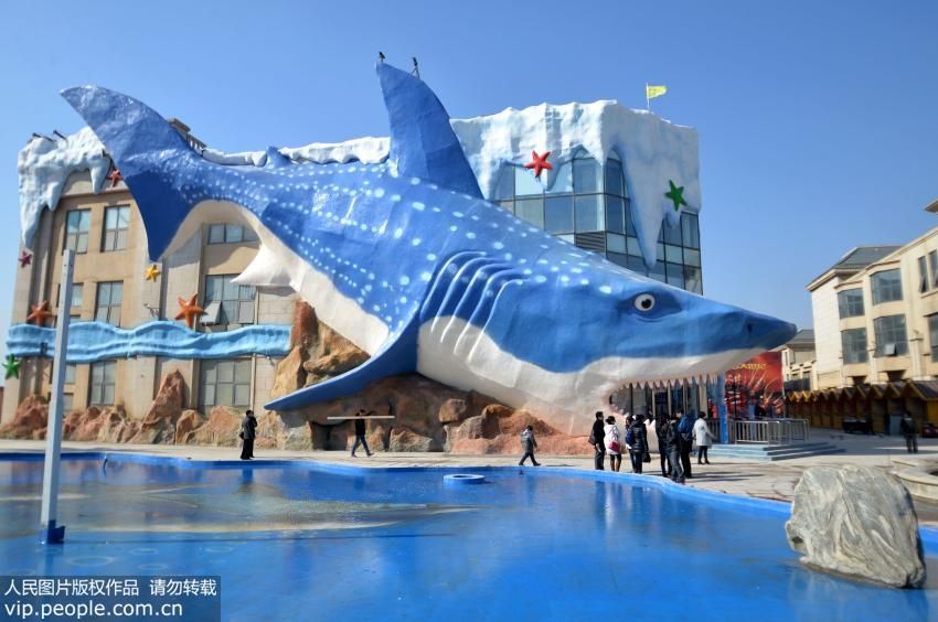 邯鄲水族館vs祥龍魚場（邯鄲市叢臺區(qū)七彩水族館和祥龍魚場的經(jīng)營產(chǎn)品對比） 全國水族館企業(yè)名錄 第5張