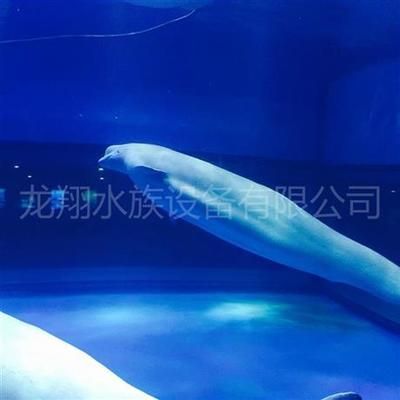 東莞水族館vs祥龍魚場(chǎng)（東莞水族館與祥龍魚場(chǎng)之間的區(qū)別） 全國水族館企業(yè)名錄 第1張