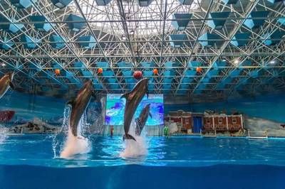 阜陽水族館vs祥龍魚場（安徽阜陽水族館和祥龍魚場的營業(yè)時間和聯(lián)系方式對比） 全國水族館企業(yè)名錄 第4張