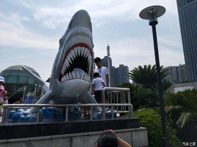 株洲水族館vs祥龍魚場(chǎng)（株洲水族館與祥龍魚場(chǎng)各有側(cè)重）