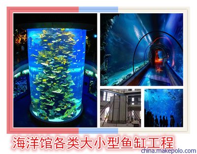 株洲水族館vs祥龍魚場（株洲水族館與祥龍魚場各有側(cè)重） 全國水族館企業(yè)名錄 第4張