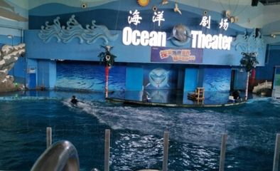 銀川水族館vs祥龍魚場（銀川水族館是一家知名水族館之一，祥龍魚場將是您的好去處） 全國水族館企業(yè)名錄 第2張