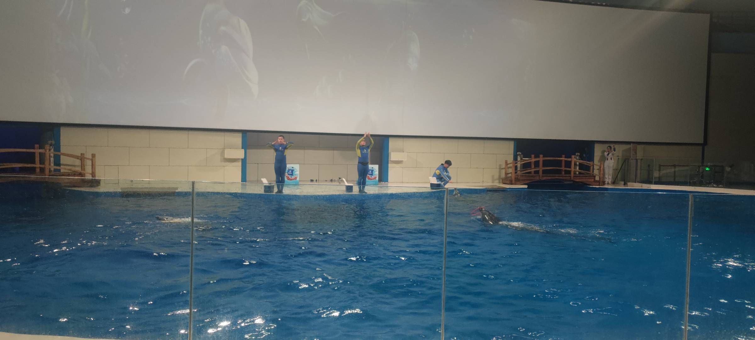 日照水族館vs祥龍魚場（日照水族館與祥龍魚場各有側(cè)重） 全國水族館企業(yè)名錄 第1張