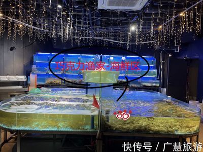 日照水族館vs祥龍魚場（日照水族館與祥龍魚場各有側(cè)重） 全國水族館企業(yè)名錄 第2張