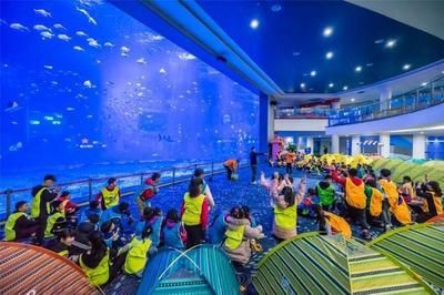 日照水族館vs祥龍魚場（日照水族館與祥龍魚場各有側(cè)重） 全國水族館企業(yè)名錄 第4張