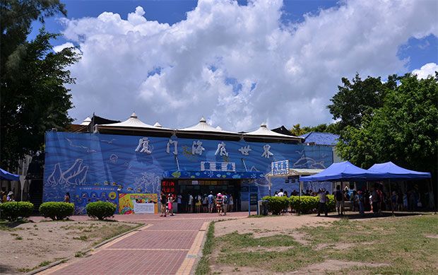 廈門水族館vs祥龍魚場（廈門水族館與祥龍魚場有什么區(qū)別？） 全國水族館企業(yè)名錄 第2張