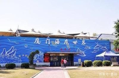 廈門水族館vs祥龍魚場（廈門水族館與祥龍魚場有什么區(qū)別？） 全國水族館企業(yè)名錄 第3張