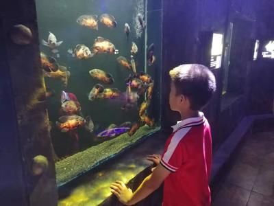 婁底水族館vs祥龍魚場(chǎng)（婁底水族館與祥龍魚場(chǎng)各有其特色和專業(yè)領(lǐng)域） 全國(guó)水族館企業(yè)名錄 第2張