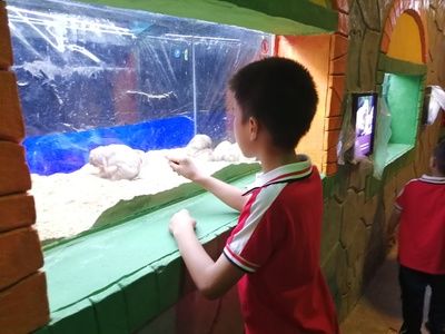 婁底水族館vs祥龍魚場(chǎng)（婁底水族館與祥龍魚場(chǎng)各有其特色和專業(yè)領(lǐng)域） 全國(guó)水族館企業(yè)名錄 第3張