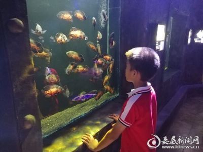 婁底水族館vs祥龍魚場(chǎng)（婁底水族館與祥龍魚場(chǎng)各有其特色和專業(yè)領(lǐng)域） 全國(guó)水族館企業(yè)名錄 第5張