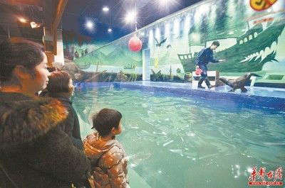 婁底水族館vs祥龍魚場(chǎng)（婁底水族館與祥龍魚場(chǎng)各有其特色和專業(yè)領(lǐng)域） 全國(guó)水族館企業(yè)名錄 第4張