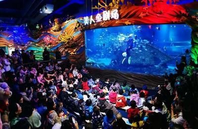 西安水族館vs祥龍魚場（西安水族館與祥龍魚場哪個好） 全國水族館企業(yè)名錄 第4張