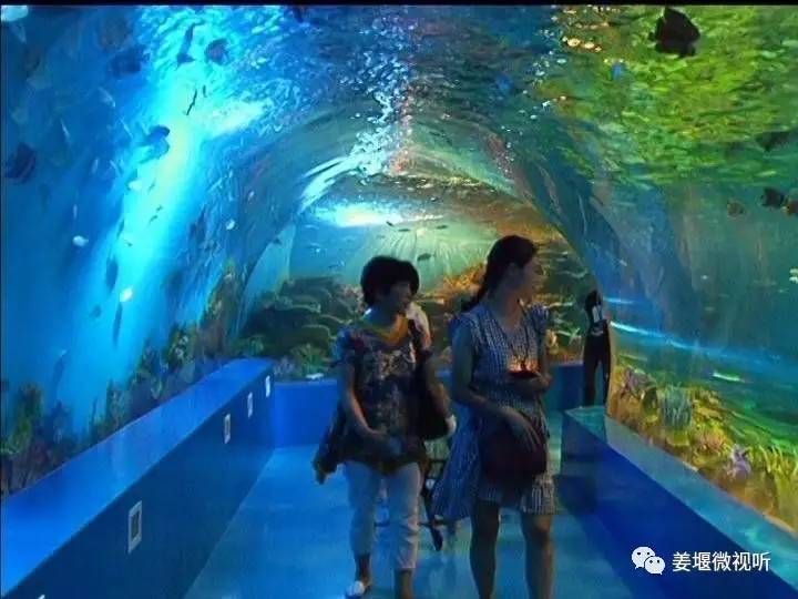 泰州水族館vs祥龍魚場（探討泰州水族館與祥龍魚場的區(qū)別之前需要明確兩者的主要業(yè)務和特點） 全國水族館企業(yè)名錄 第3張