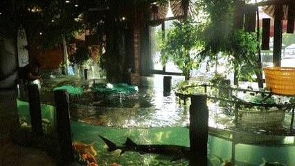 宜昌水族館vs祥龍魚場（宜昌水族館和祥龍魚場是一家集觀賞、科普、休閑、娛樂為一體的水族館） 全國水族館企業(yè)名錄 第5張