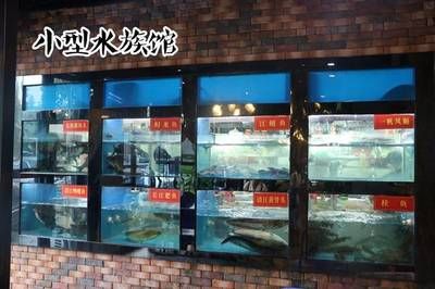 宜昌水族館vs祥龍魚場（宜昌水族館和祥龍魚場是一家集觀賞、科普、休閑、娛樂為一體的水族館） 全國水族館企業(yè)名錄 第2張