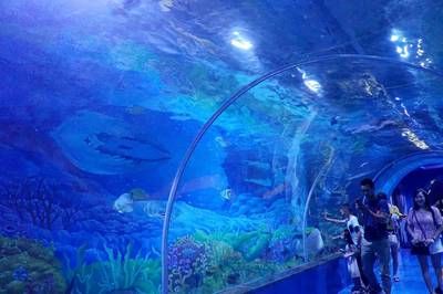 宜昌水族館vs祥龍魚場（宜昌水族館和祥龍魚場是一家集觀賞、科普、休閑、娛樂為一體的水族館） 全國水族館企業(yè)名錄 第3張