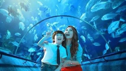 咸寧水族館vs祥龍魚場（咸寧水族館與祥龍魚場各有側(cè)重） 全國水族館企業(yè)名錄 第4張