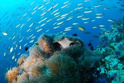 大理白族自治州水族館vs祥龍魚場（大理白族自治州水族館與祥龍魚場各有特色） 全國水族館企業(yè)名錄 第1張