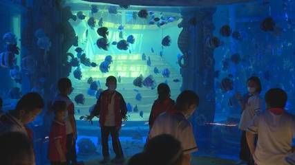 東營水族館vs祥龍魚場（東營水族館與祥龍魚場之間的差異之前需要明確兩者的主要業(yè)務(wù)和特點(diǎn)） 全國水族館企業(yè)名錄 第1張