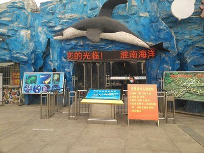 淮南水族館vs祥龍魚場(chǎng)（探討淮南水族館與祥龍魚場(chǎng)之間的差異時(shí)，我們可以從多個(gè)角度分析） 全國(guó)水族館企業(yè)名錄 第3張